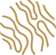 Logo The Red Sea Development Co.