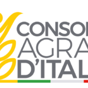 Logo Consorzi Agrari d'Italia SpA