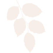 Logo Hedderwick Ltd.