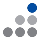 Logo DiamiR LLC