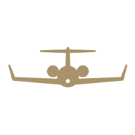 Logo Biggin Hill Airport Ltd.
