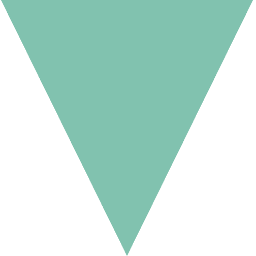 Logo Y Care International