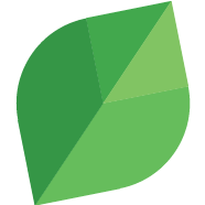 Logo Dilepix SAS