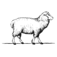 Logo Cripps Stone Barn Ltd.