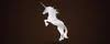 Logo AnBro Capital Investments (Pty) Ltd.