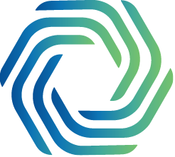 Logo Cobwebs Technologies Ltd.