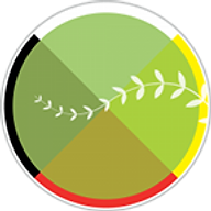Logo First Nations Health Managers Association