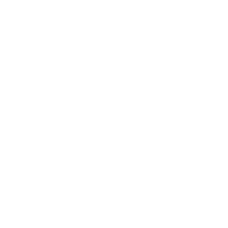 Logo Summit Nanotech Corp.