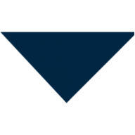 Logo Bareket Capital Ltd.