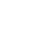 Logo Digital Solutions Cooperative, Inc.
