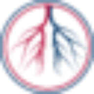 Logo American Endovascular, Inc.
