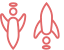 Logo Angel & Rocket Ltd.