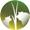 Logo Feder Elevage SCA