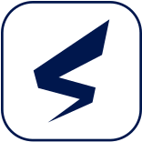 Logo Safe Securities, Inc.