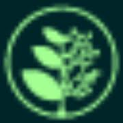 Logo Greengage Global Holding Ltd.