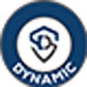 Logo Dynamic Services & Security Ltd.
