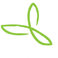Logo Ontario Nonprofit Network