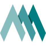 Logo Multiscale Technologies, Inc.