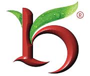 Logo Kesar India Ltd.