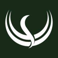 Logo Luxury Action Oy