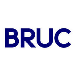 Logo Bruc Alter Energias Renovables SA