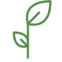 Logo Concord Hill School