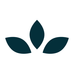 Logo Adonis Technology, Inc.