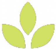 Logo Arcadia eFuels
