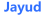Logo Jayud Global Logistics Ltd.