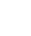 Logo V2vmedtech, Inc.
