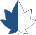Logo The Canadian Academy of Health Sciences