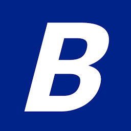 Logo Borqs Software Solutions Pvt Ltd.