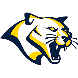 Logo Camillus Youth Hockey Association