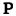 Logo Palladian Realty Capital LLC
