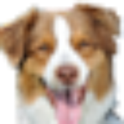 Logo Coastal Pet Products, Inc.